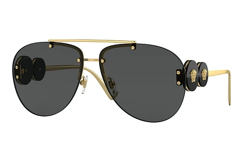 solbrille Versace VE2250 100287