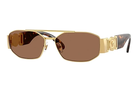 Solglasögon Versace VE2287 100273