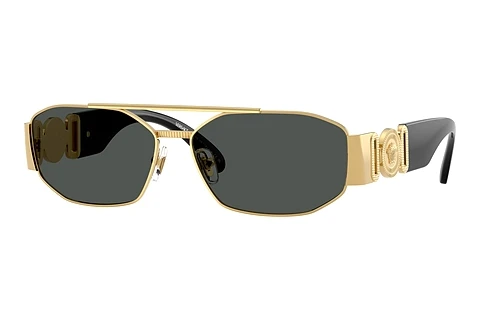 Solglasögon Versace VE2287 100287