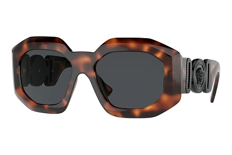 Solglasögon Versace VE4424U 521787