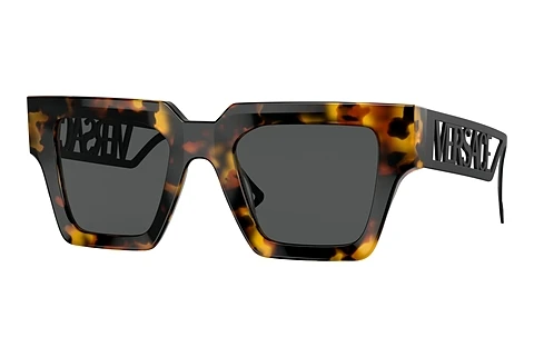 Solglasögon Versace VE4431 514887