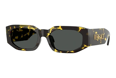 Sončna očala Versace VE4489U 552887