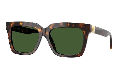 Solglasögon Versace VE4498 108/71