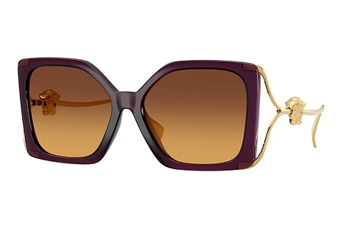 Solglasögon Versace VE4502U 5536T5