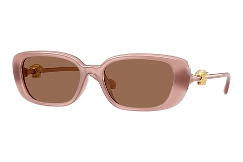 Solglasögon Versace VE4504D 553573