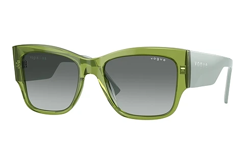 solbrille Vogue Eyewear VO5462S 295311