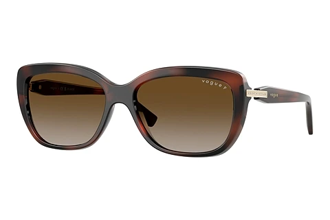 Sonnenbrille Vogue Eyewear VO5678SB 2386T5