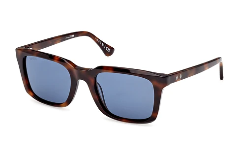Óculos de marca Web Eyewear WE0388 52V