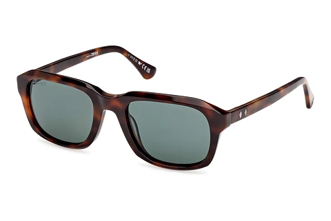 Päikeseprillid Web Eyewear WE0389 52N