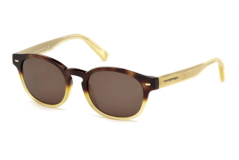 Solglasögon Zegna EZ0029 56J