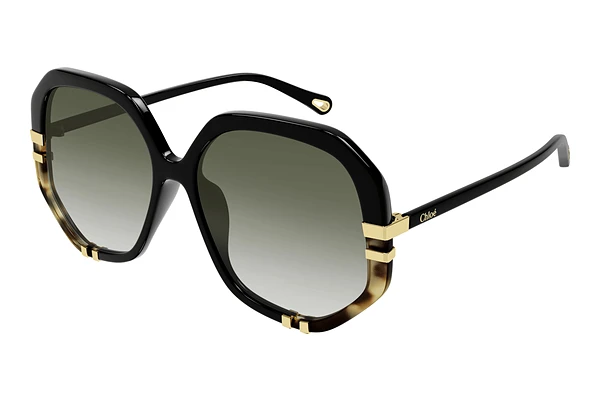 Solglasögon Chloé CH0105S 006