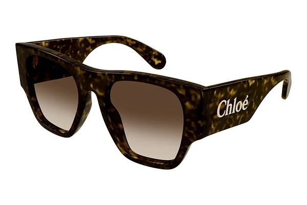 Solglasögon Chloé CH0233S 002