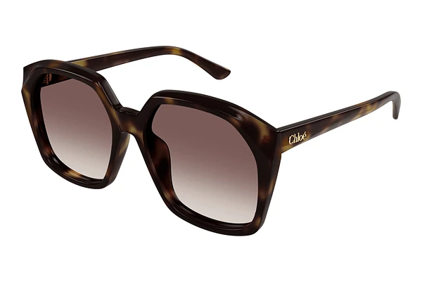 Gafas de visión Chloé CH0280S 006