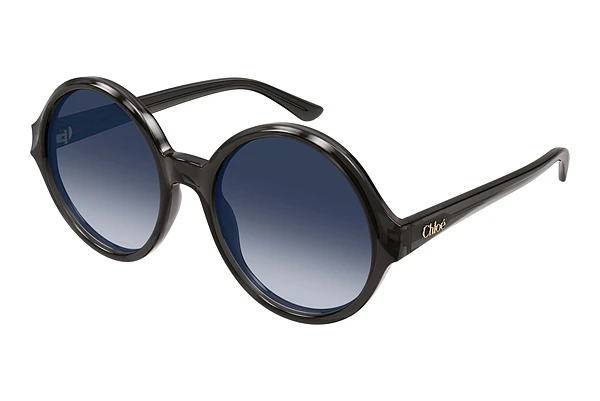 Gafas de visión Chloé CH0290S 001