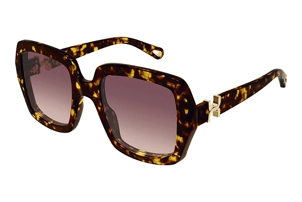 Solglasögon Chloé CH0301S 002