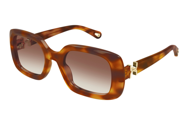 Ophthalmic Glasses Chloé CH0333S 003