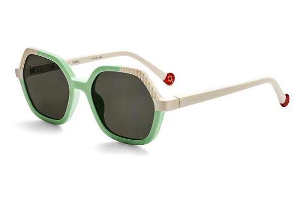 Ochelari de soare Etnia Barcelona TURTLE GRWH