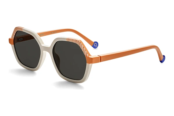 Ochelari de soare Etnia Barcelona TURTLE WHOG