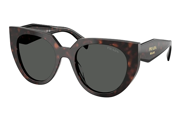 Óculos de marca Prada PR 14WS 17N40L