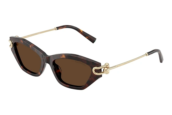 Ophthalmic Glasses Tiffany TF4231U 80153G