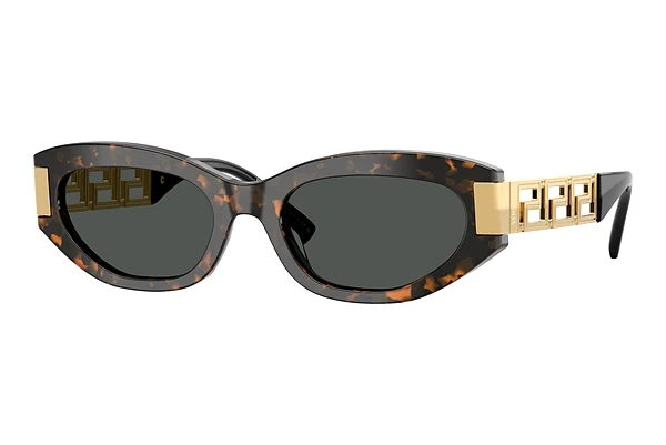 Sončna očala Versace VE4501 552887