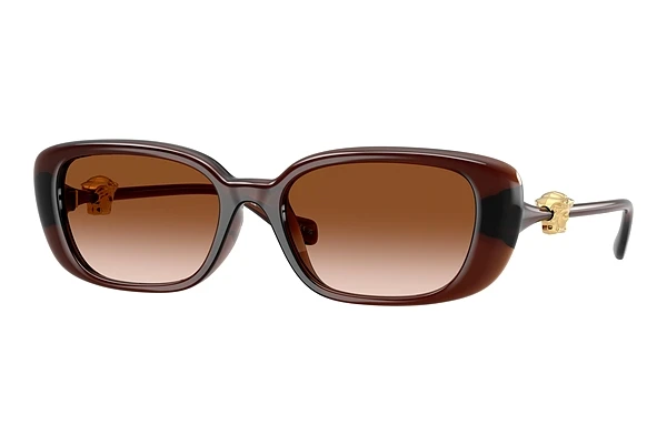 Gafas de visión Versace VE4504D 533213